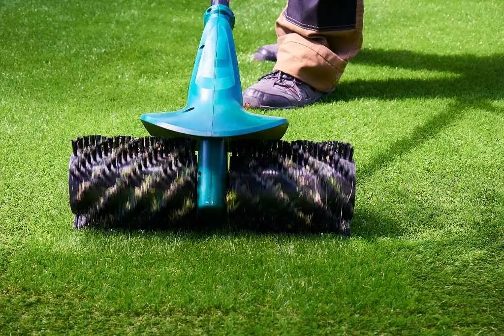 Artificial Grass Care
