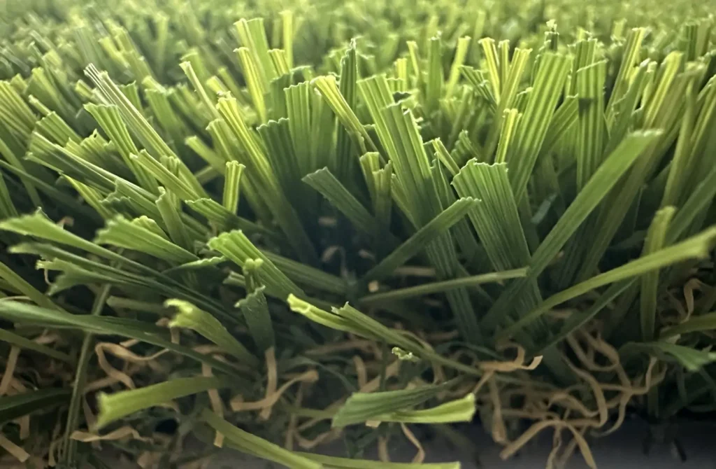 The dense and resilient blades of Texas Tuff's Big Blend Deluxe turf grass, a premium product for DFW that combines durability with a soft feel.
