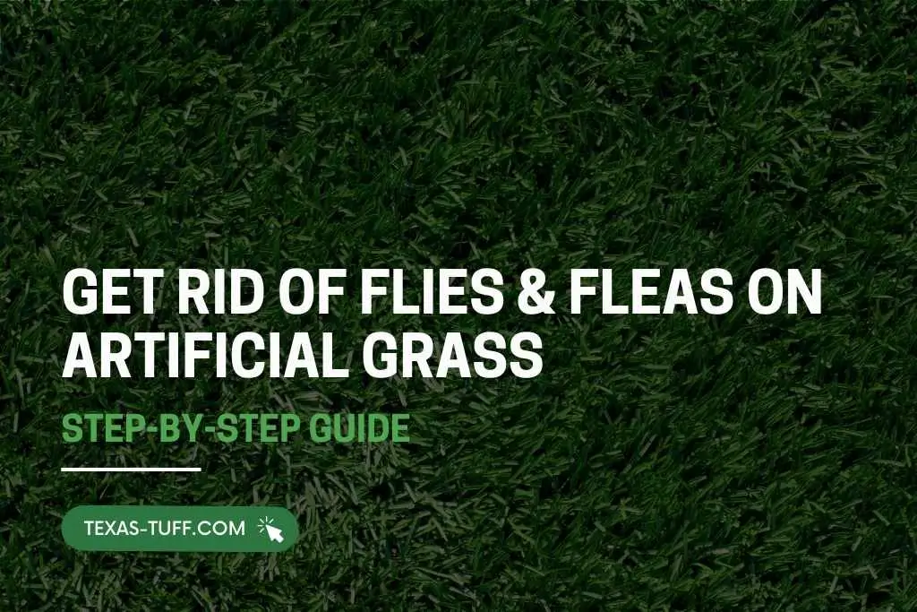 Get Rid Of Flies & Fleas On Artificial Grass