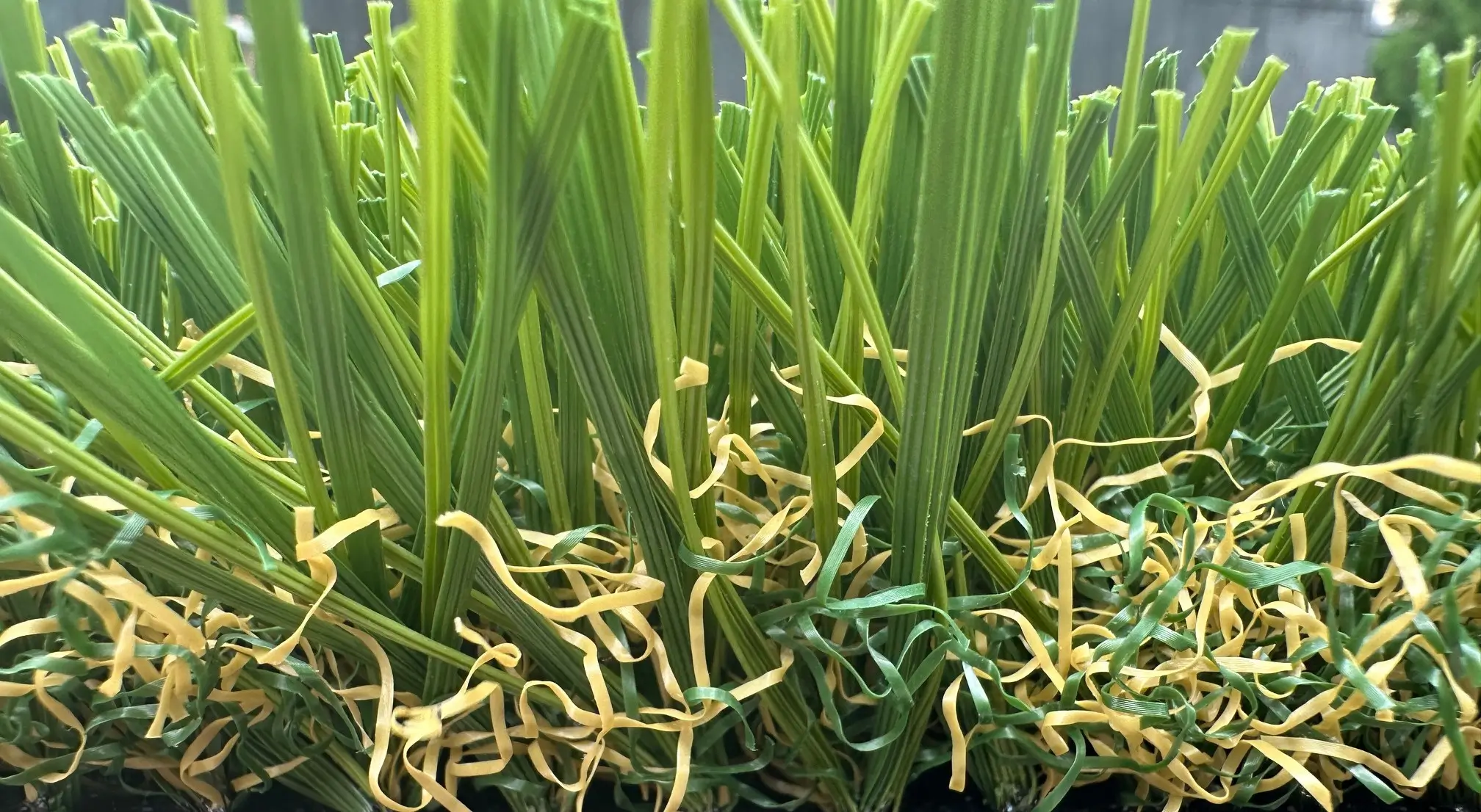 Grass Color