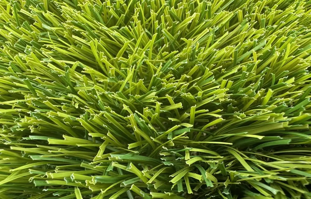 Grass Density