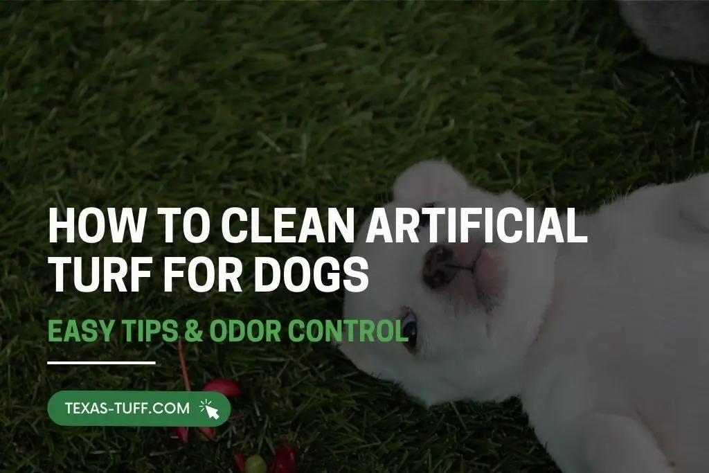 How to Clean Artificial Turf for Dogs
