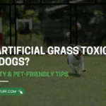 Is Artificial Grass Toxic to Dogs Safety & Pet-Friendly Tips