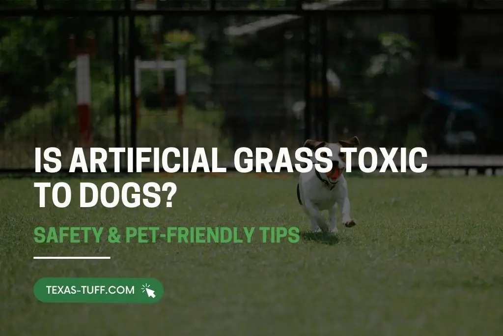 Is Artificial Grass Toxic to Dogs Safety & Pet-Friendly Tips