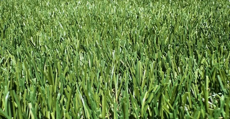 Texas Tuff's Turner & Hooch artificial grass, a cost-effective and pet-friendly turf solution for DFW, featuring a 1 ¾” pile height, a 92-ounce total weight, and over 30” of rain drainage per hour.