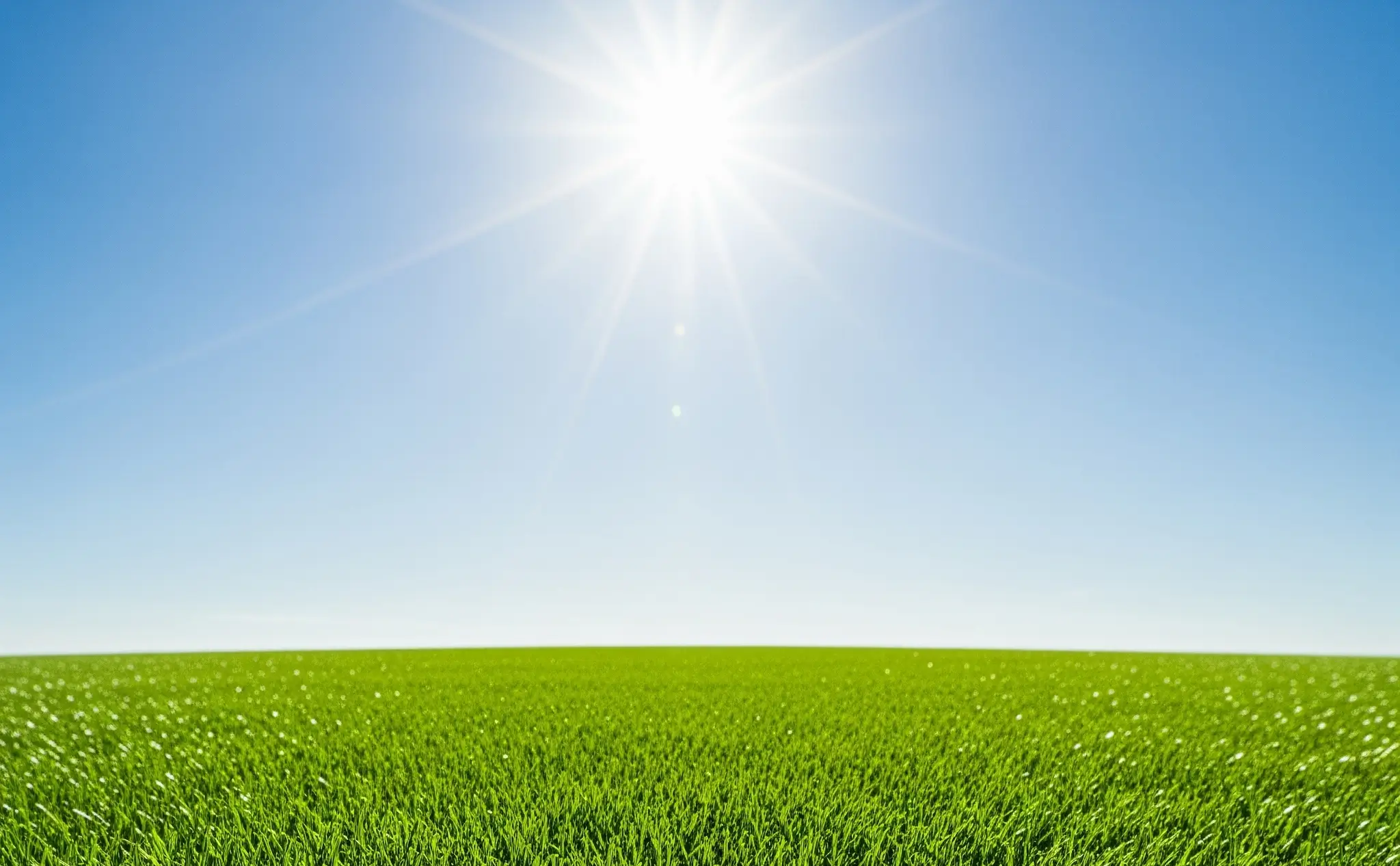 UV Protection