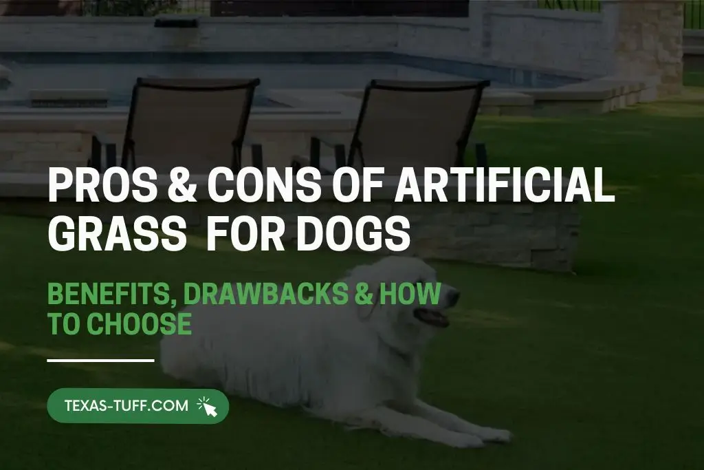 Pros & Cons of Artificial Grass for Dogs