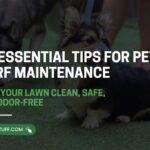 Essential Tips for Pet Turf Maintenance
