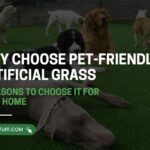 Why Choose Pet-Friendly Artificial Grass