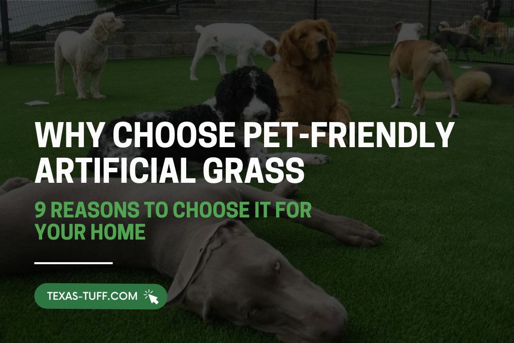 Why Choose Pet-Friendly Artificial Grass