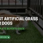 Best Artificial Grass for Dogs