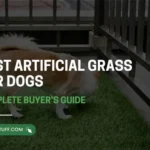 Best Artificial Grass for Dogs