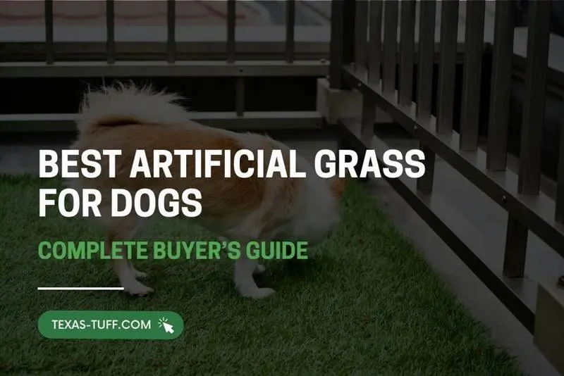 Best Artificial Grass for Dogs