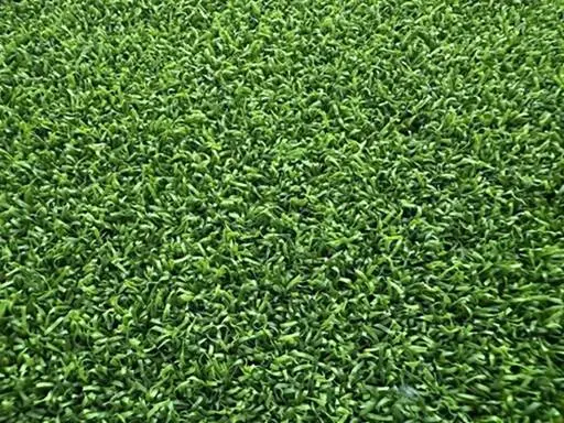 Augusta putting green turf, ½” pile height, polyethylene emerald and field green for realistic roll.