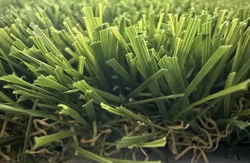 The dense and resilient blades of Texas Tuff's Big Blend Deluxe turf grass, a premium product for DFW that combines durability with a soft feel.