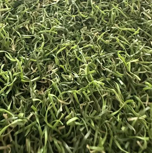 Textured artificial grass with natural-looking green blades
