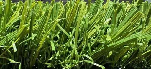 A close-up of Texas Tuff's Palo Duro artificial grass, an ideal solution for mixed-use residential lawns in DFW with a 1 1/8” pile height and 105-ounce total weight.