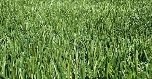 Cost-effective Texas Tuff Turner & Hooch turf, 1 ¾” pile height, pet-friendly with rain drainage.