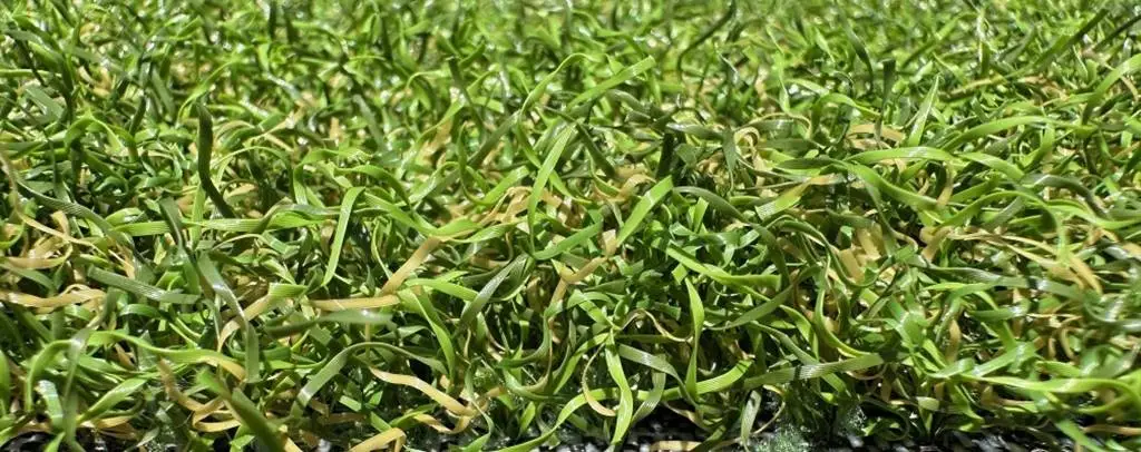 Texas Tuff Whispering Pines grass with 1 3/8” pile height, durable, and made from recycled materials.