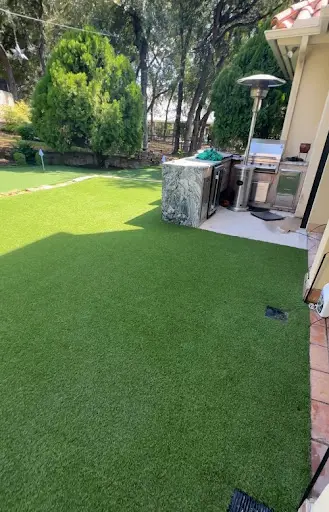 Lawn Turf