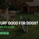 Pet-friendly artificial turf yard with dogs running on synthetic grass