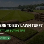 Top tips for buying lawn turf and getting the best prices