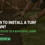 Preparing soil and installing turf lawn