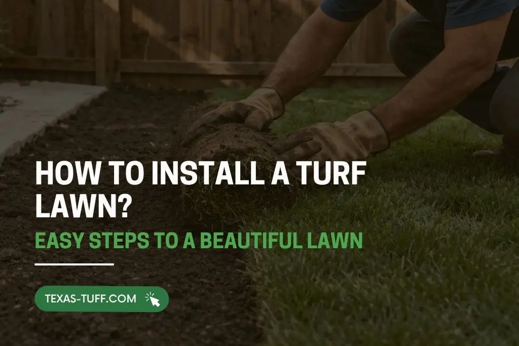 Preparing soil and installing turf lawn