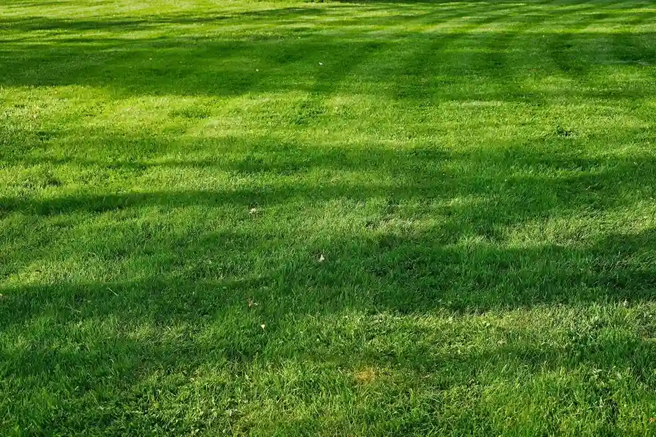 About-Us 1 artificial turf installation texas tuff