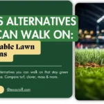 Grass Alternatives You Can Walk On