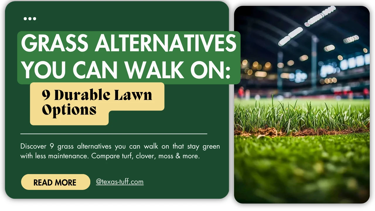 grass alternatives you can walk on