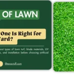Types of Lawn Turf