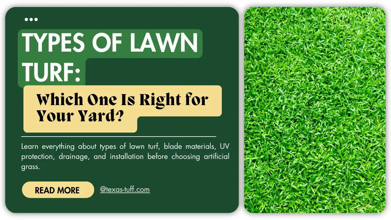 Types of Lawn Turf
